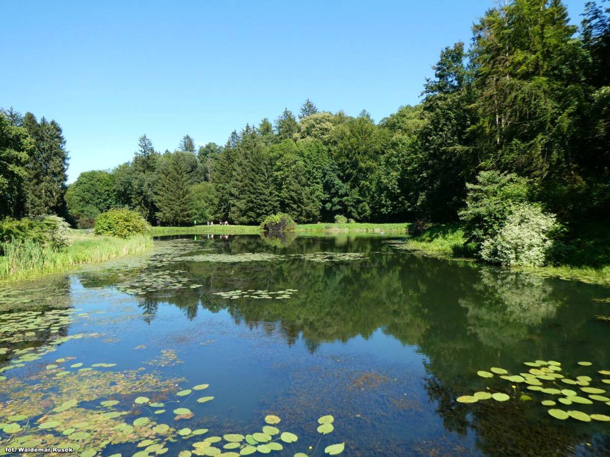 Park Zdrojowy (część angielska) w Połczynie-Zdroju - park zdrojowy czesc angielska w polczynie zdroju 14